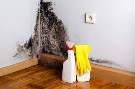 Why You Should Choose Our Mold Remediation Services in Mays Landing, NJ